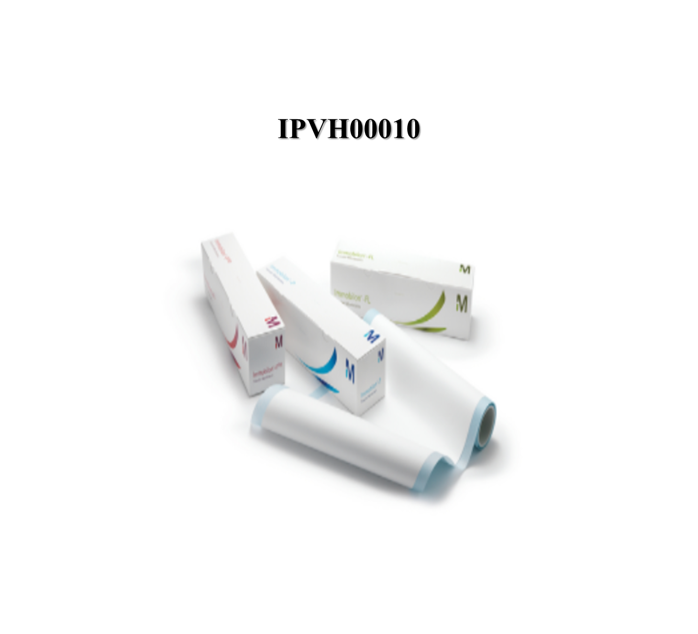 IPVH00010