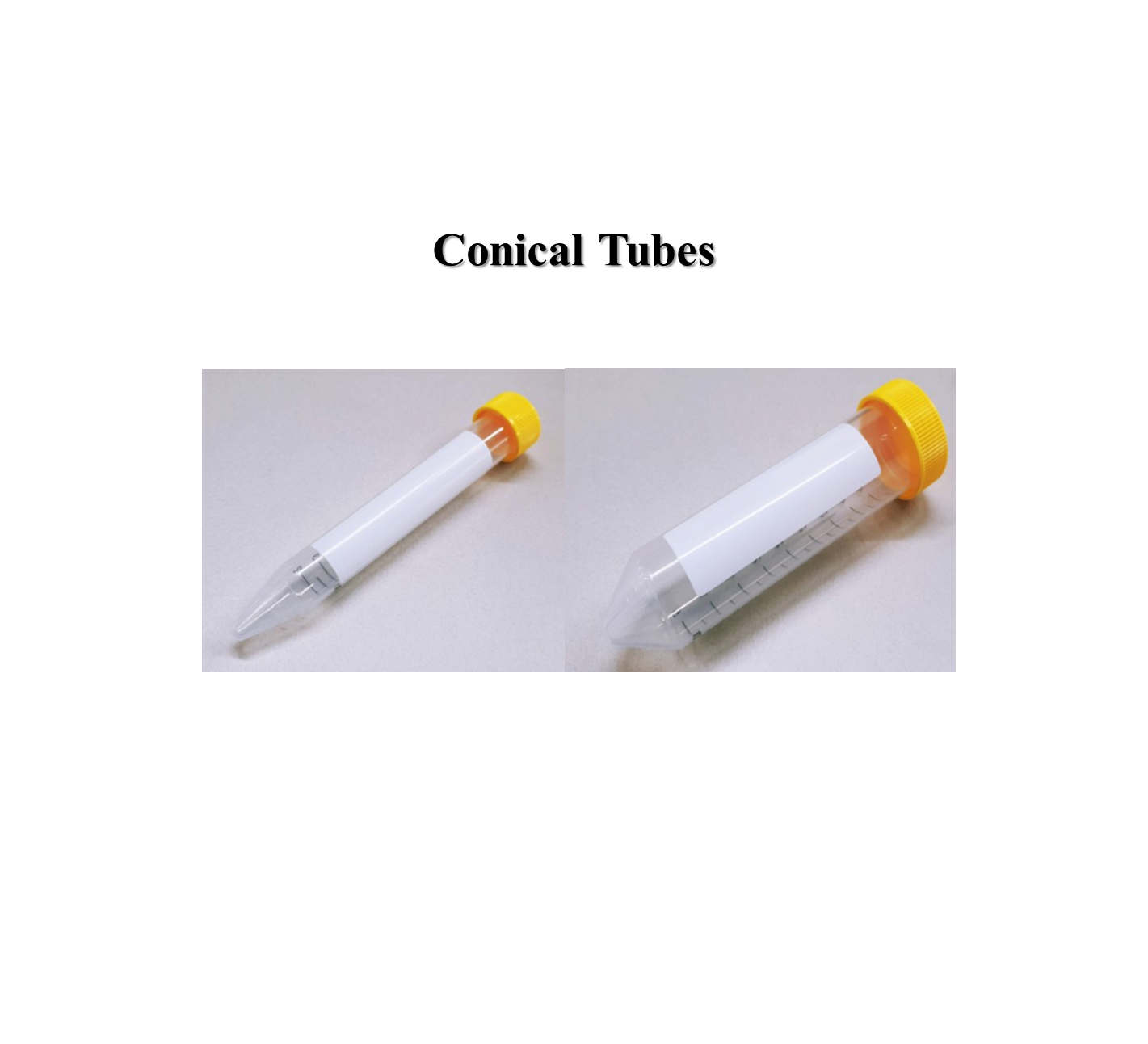 Conical Tubes