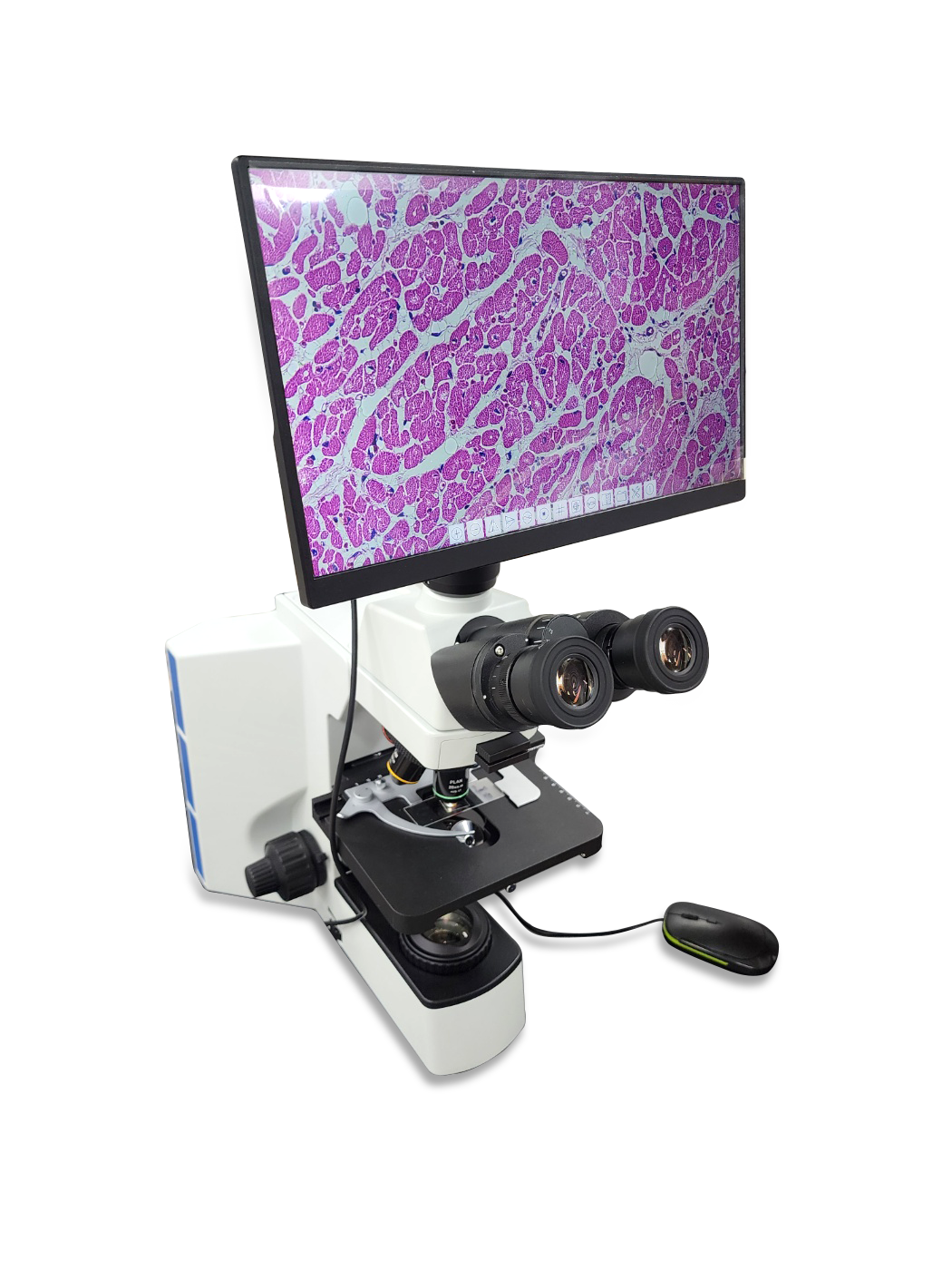 Stereo Microscope(생물현미경)(TM-20B)